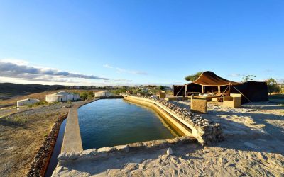 Why the Agafay Desert Is the Perfect Day Trip from Marrakech