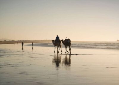 Day Trip from Marrakech to Essaouira