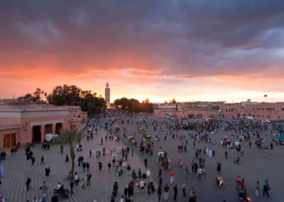 Day Trip to Ourika Valley from Marrakech