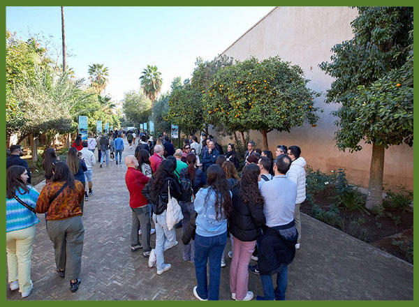 Marrakech Walking Tours