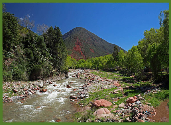 Marrakech with Family