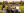 Group of friends enjoying a round of golf together on a scenic golf course in a relaxed and social atmosphere